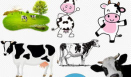 奶牛动漫,萌动校园的温馨日常