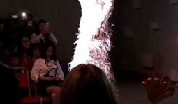 cheng人视频,内容、影响与反思